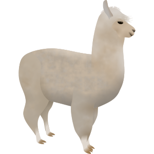 alpaca