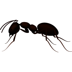 Ant in Little Alchemy 1