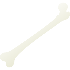 bone