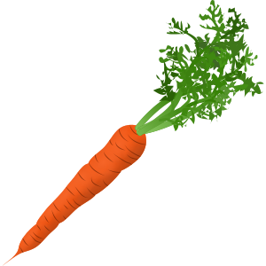 carrot