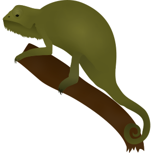 chameleon