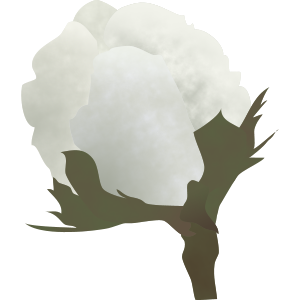 cotton