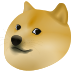 Doge