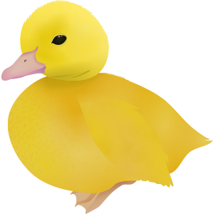 duckling