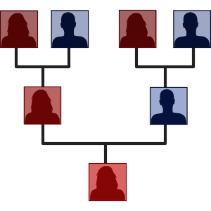 Family Tree in Little Alchemy 1