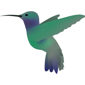 hummingbird