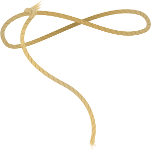 Lasso in Little Alchemy 1