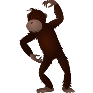 monkey