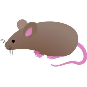 mouse