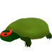 Ninja Turtle