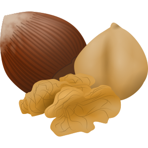 nut