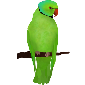 Parrot in Little Alchemy 1