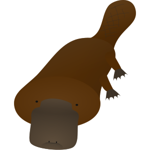 platypus