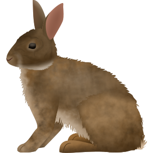 Rabbit in Little Alchemy 1
