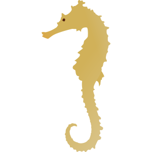 seahorse