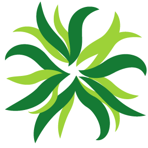 seaweed