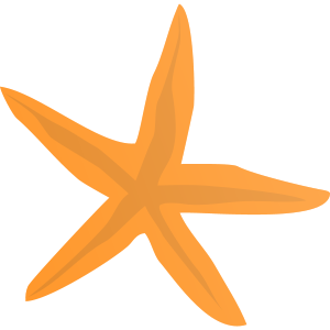 starfish