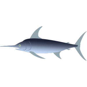 swordfish