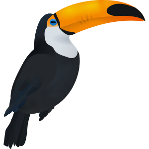 toucan