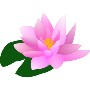 Water Lily in Little Alchemy 1